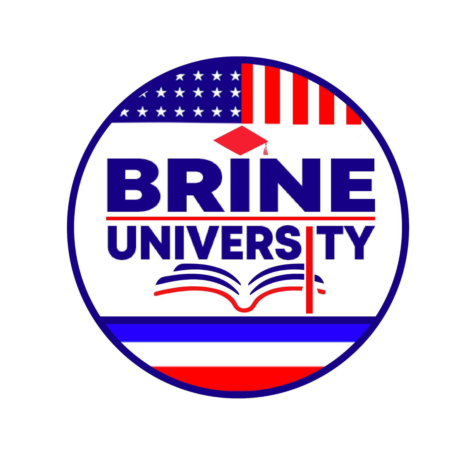 Logo BRINE UNIVERSITY